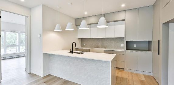 3 CH - 1 SDB - Sainte-Agathe-des-Monts - $1,900 /mo - Photo 2