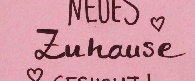 Suche DRINGEND eine Wohnung - Foto 1