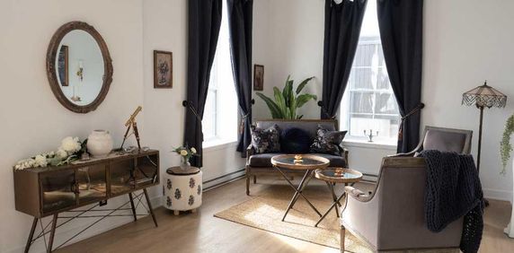 Magnifique 4½ lumineux à aire ouverte à Saint-Hyacinthe - Photo 2