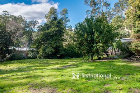 FAMILY FRIENDLY HOME OPPOSITE BELGRAVE LAKE PARK - Photo 3