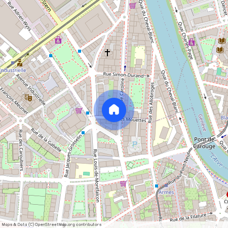 Rue des Mouettes 7, 1227, Les Acacias