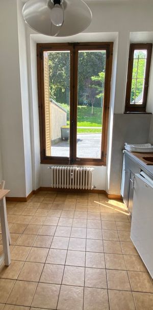 Location Appartement 1 pièce 25m² CHAMBERY 73000 - Photo 1