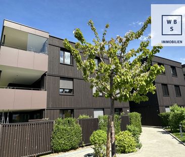 Attraktive 2-Zimmer-Wohnung mit wunderbarer Aussicht in Röthis - Photo 4