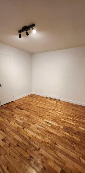 3-1/2 plus coin détente dans Petite-Patrie, Immeuble très tranquille Métro Autobus - Photo 1