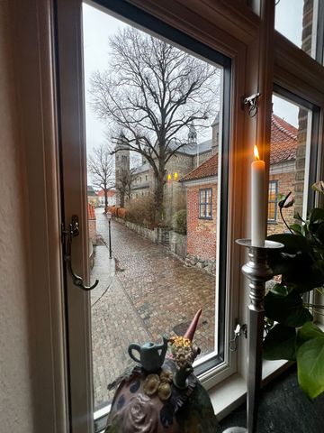 Viborg - Foto 2