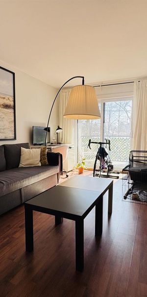 OSEN Appartement 3 ½ à Louer Sainte-Foy / Sillery Juillet 2026 - Photo 1