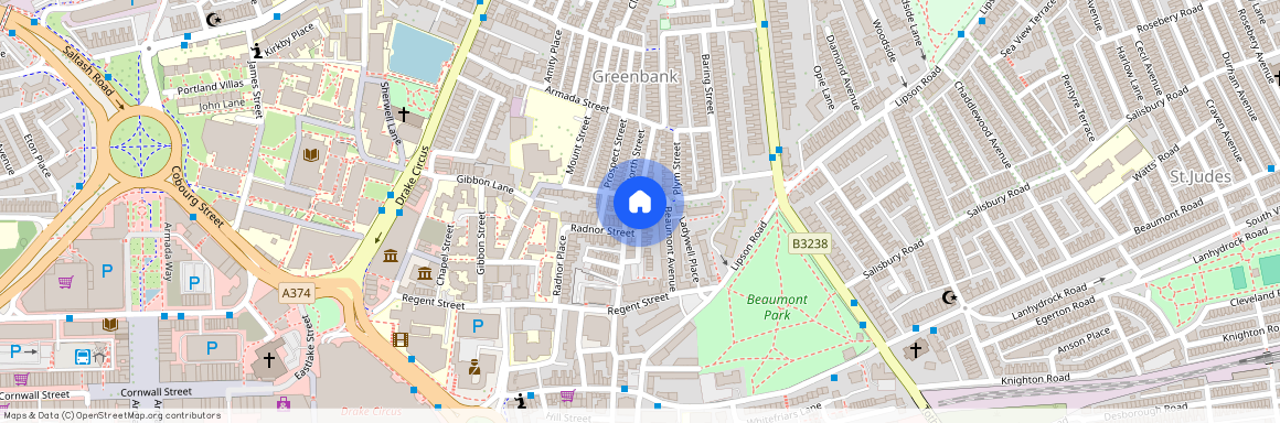 3 Camden Street, Ground floor flat, Plymouth