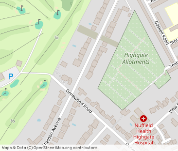 Sheldon Avenue, Highgate, London, N6 - Photo 1