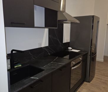 Location Appartement 2 pièces 32m² TAIN L HERMITAGE 26600 - Photo 2
