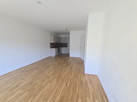 Geförderte, neuwertige 2 Zimmer Wohnung mit großem BALKON in Innenhoflage - Puchstraße 44 - Top 014 - Foto 4