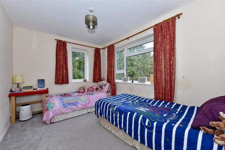 3 bedroom duplex to rent - Photo 2