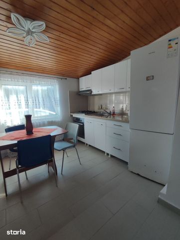 Casă primitoare perfectă pentru o familie sau sediu de firmă Viile Noi - Photo 3