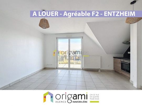 ENTZHEIM - Agréable F2 en dernier étage - Photo 1