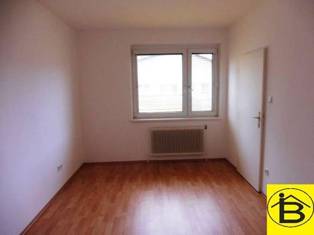 15237 zentral liegende Wohnung in Wagram zu vermieten! - Photo 3