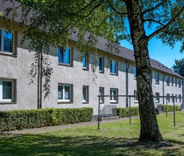 2-Zimmer-Wohnung in Herten Disteln - Photo 4