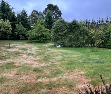 Garden Setting - Photo 5