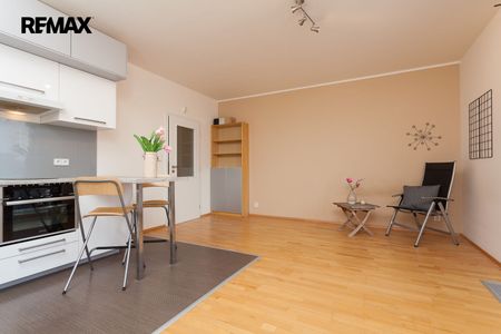 Pronájem bytu 1+kk a garsoniéry 32 m² - Fotografie 5