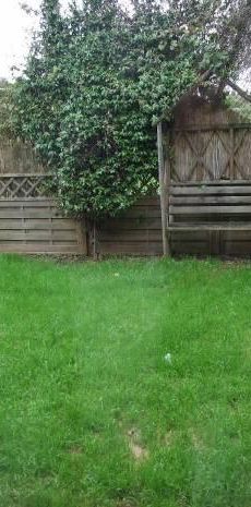 2 bedroom house to rent - Photo 2