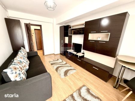 Apartament cu o cameră de închiriat pe Strada Plopilor. Pet Friendly - Photo 3