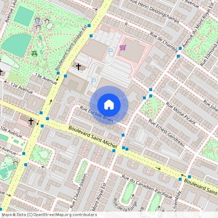 4547 Rue Euclide-Brien, Montréal (Rosemont/La Petite-Patrie), Montréal H1X 3K4