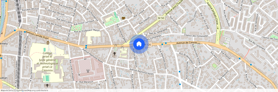 TOULOUSE - COTE PAVEE