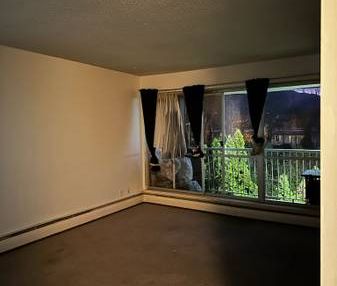 Affordable 1 bedroom, Spacious Apartment Available - Photo 3