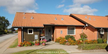 Hjallerup - Photo 2
