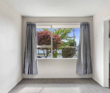 Sunny Two bedroom – Great Location! - Photo 2