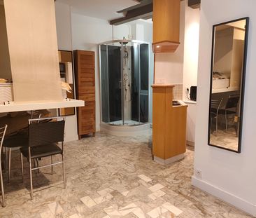 Location appartement 1 pièce, 21.60m², Paris 04 - Photo 3