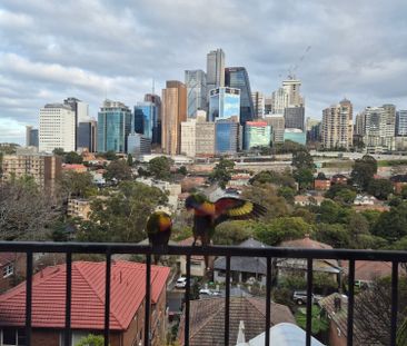 Neutral Bay - Photo 5