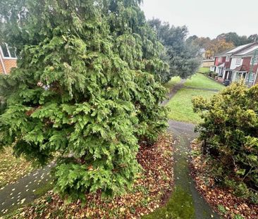 Wescott Way - Photo 5