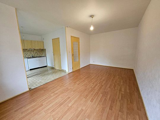 Location appartement 1 pièce 32 m² à Bourg-en-Bresse (01000) BROU - Photo 1