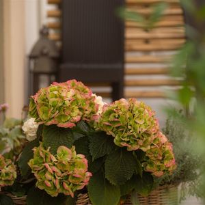 Transportgatan 2 B - Photo 2