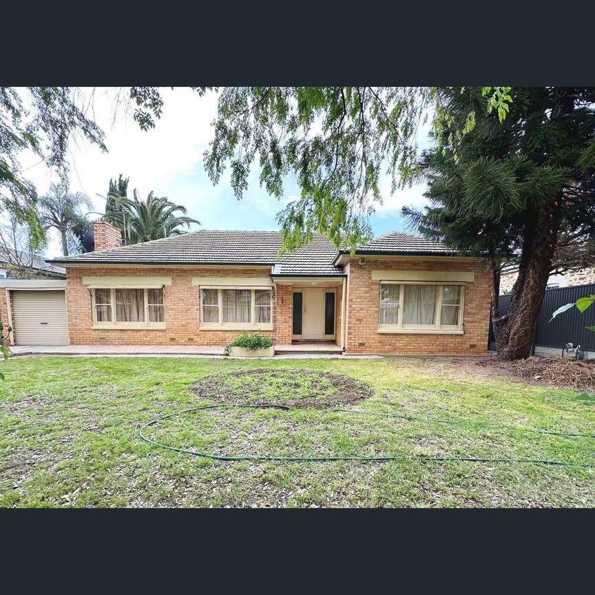 41 Eighth Ave, St Peters, SA 5069 - Photo 1