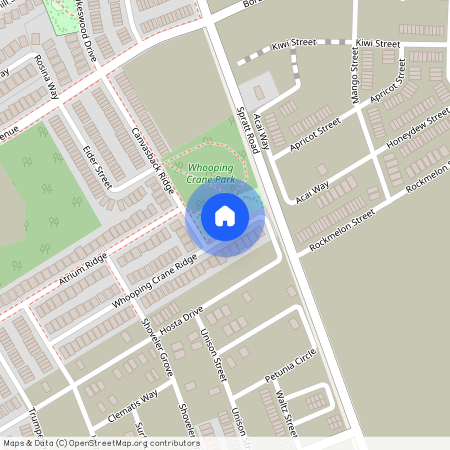 53 WHOOPING CRANE Ridge, Blossom Park - Airport And Area