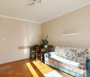 Dobry dojazd do Uczelni, świetnie skomunikowane - Zdjęcie 3