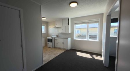 Renovated Family Home on Elizabeth - Photo 3