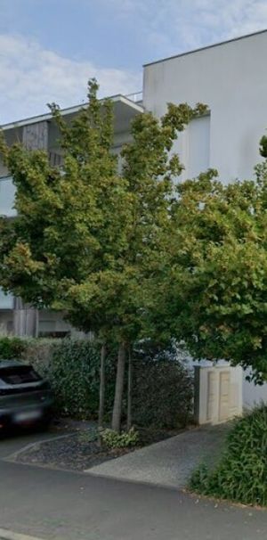 Location Appartement 3 pièces 55m² AYTRE 17440 - Photo 1