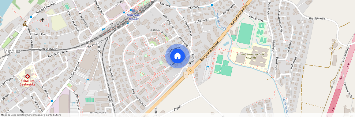 3280, Murten, Mottetstrasse, 8