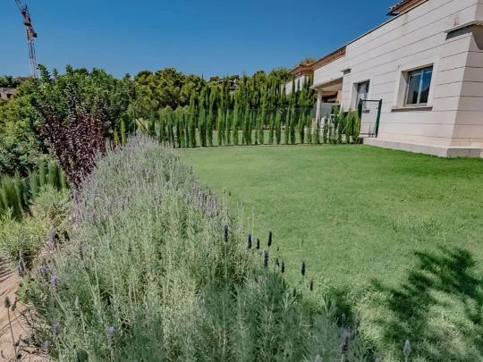 Calvià - Foto 1
