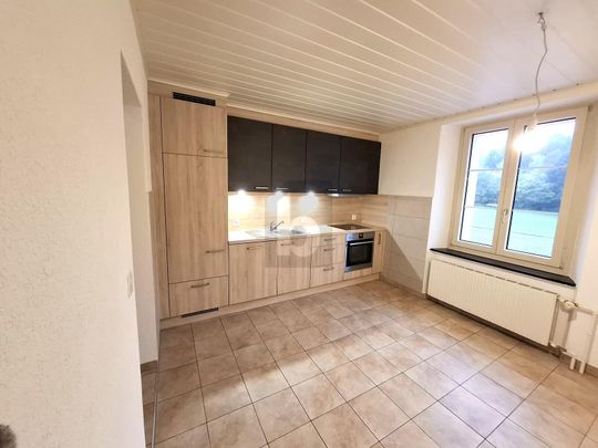 SPACIEUX, EN PLEINE NATURE - Photo 1