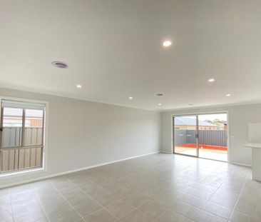 Family Living in Jackass Flat! - Photo 4