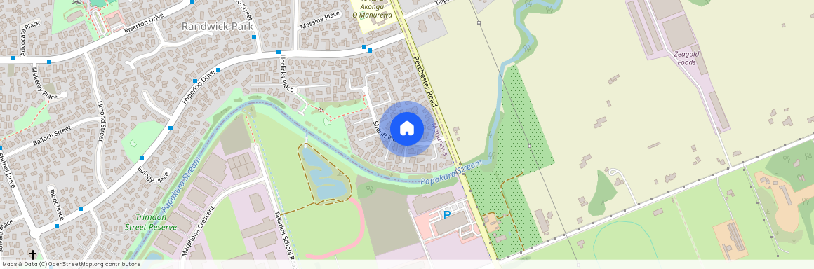 27 Sheriff Place, Randwick Park, Manukau City