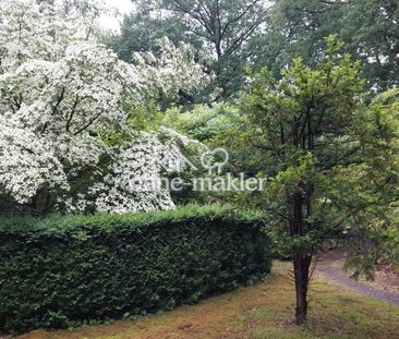 EG Wohnung mit Sonnenterasse - Photo 6