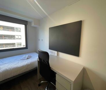 Bronze Studio Lower Level - Photo 4