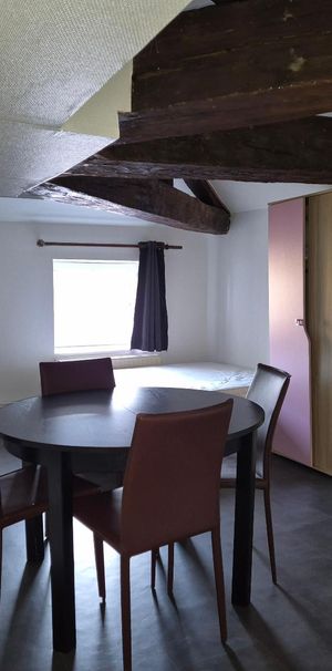 Location Appartement 1 pièce 19m² MACON 71000 - Photo 1