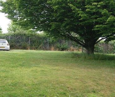 Sycamore Close, Heavitree - Spacious And Well Presented Ground Floo... - Photo 4