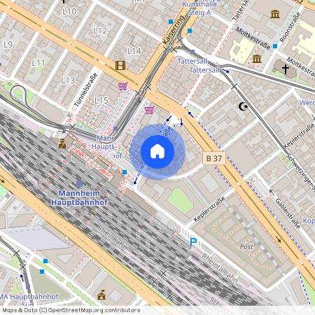 Tattersallstraße 4, 68165 Mannheim