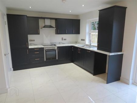 5 Charles Baron Court, Lurgan, BT66 7FW - Photo 2