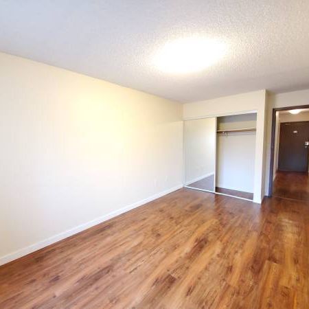 New Westminster 1 bedroom apartment + Den available on February 15th - Photo 1